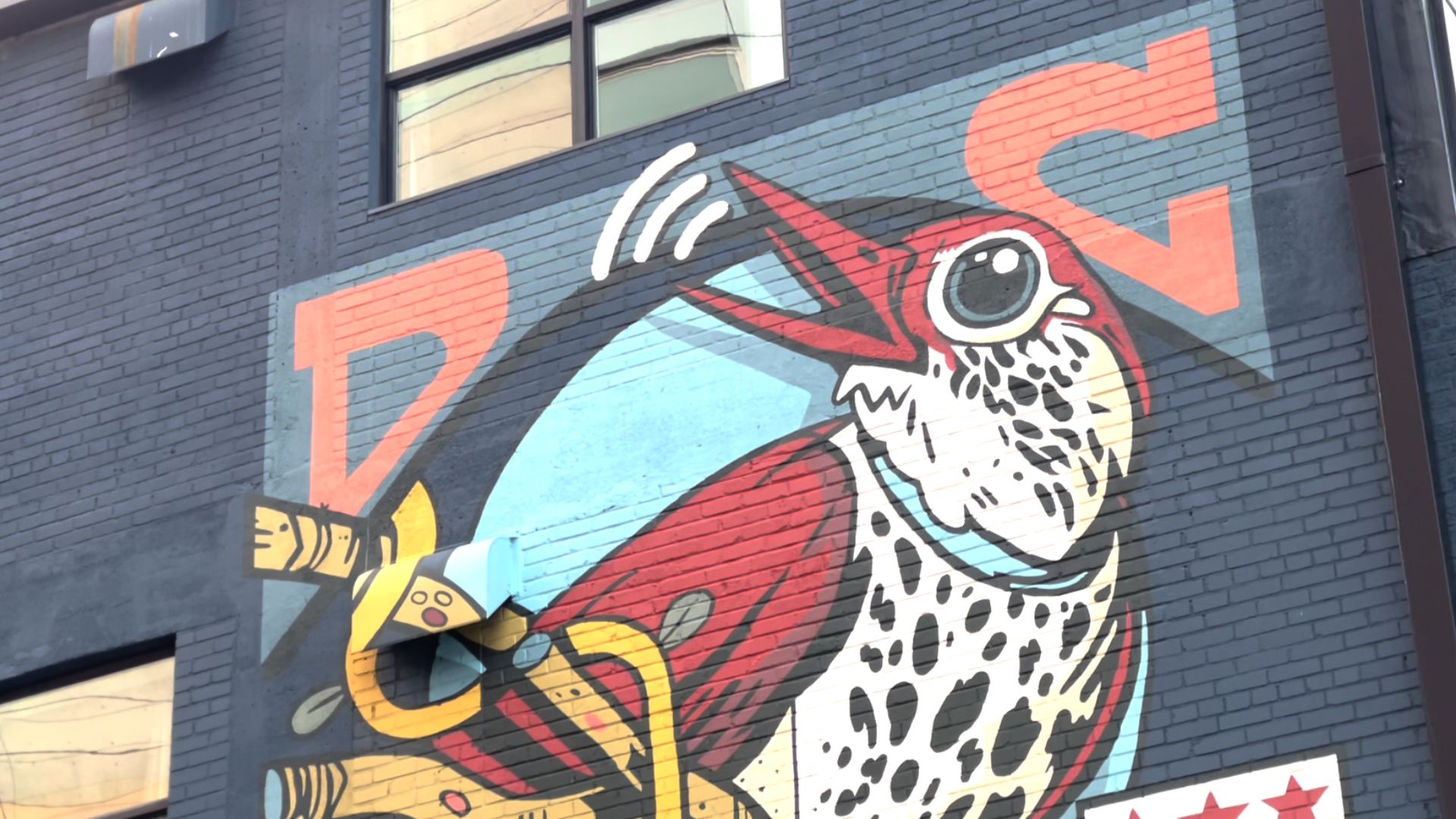 D.C. Neighborhood Guide Union Market